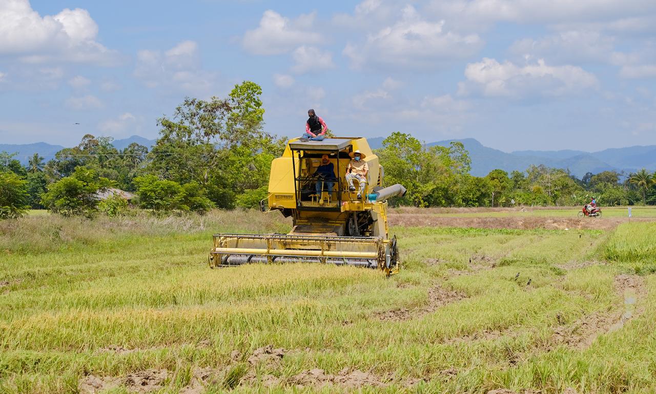 Penternak, Nelayan Dan Petani Perlu Waspada