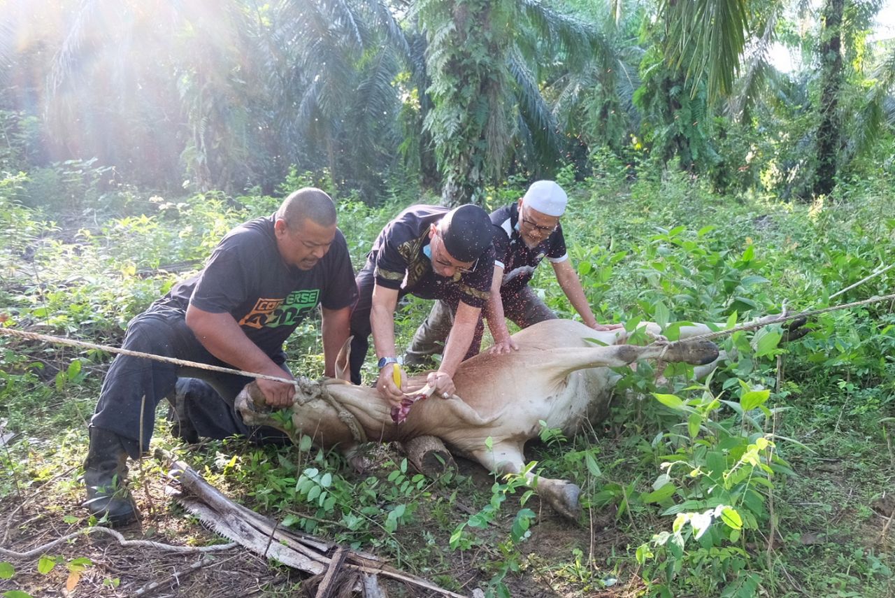 Dapur Rakyat Dinikmati Warga Air Putih