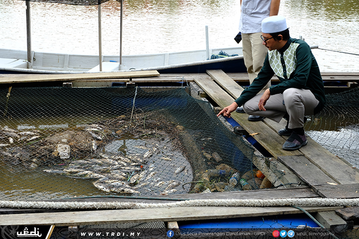 Penternak Siakap Sangkar Kerugian RM50,000