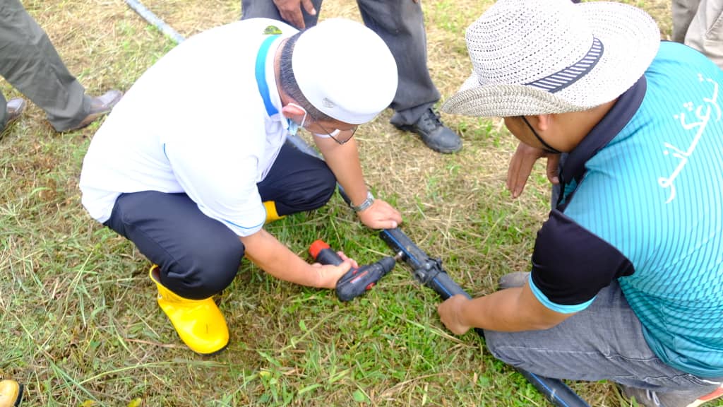 Sistem Pengairan Bantu Tingkat Produktiviti Limau Langkat