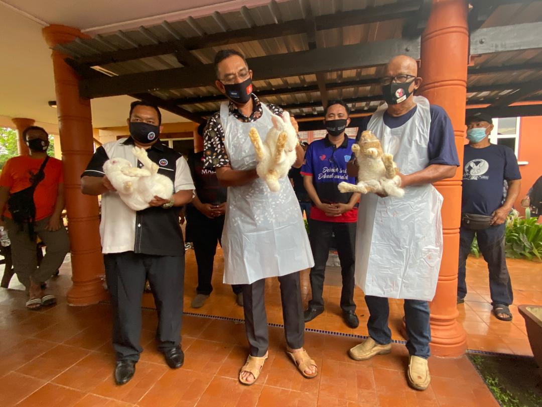 Galak Belia Ternak Arnab