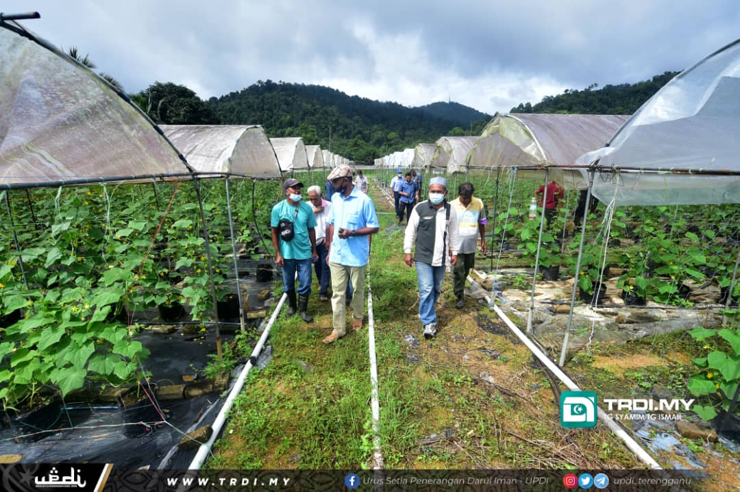 Barang Cukup, Tidak Perlu Pembelian Panik
