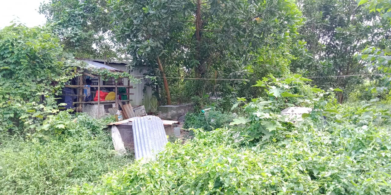 Sebatang Kara Hidup Dalam Kabin