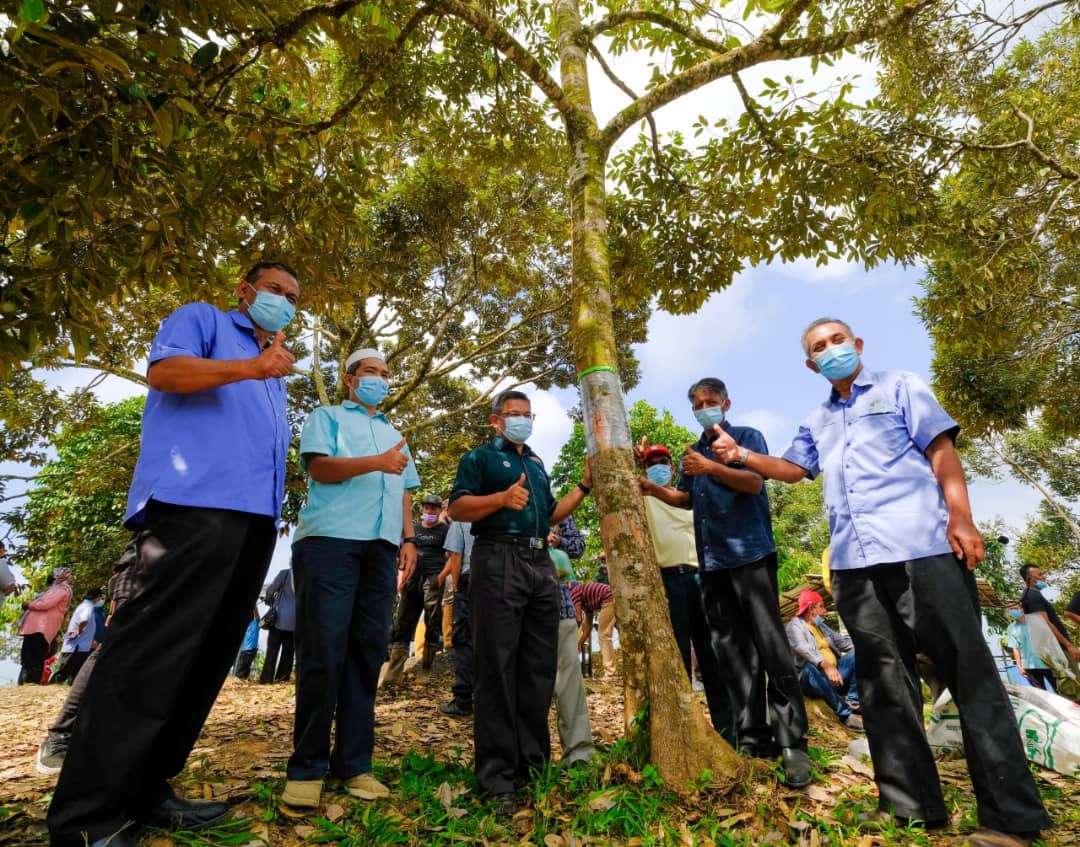 Pemilik Tanah Terbiar Disaran Tanam Durian