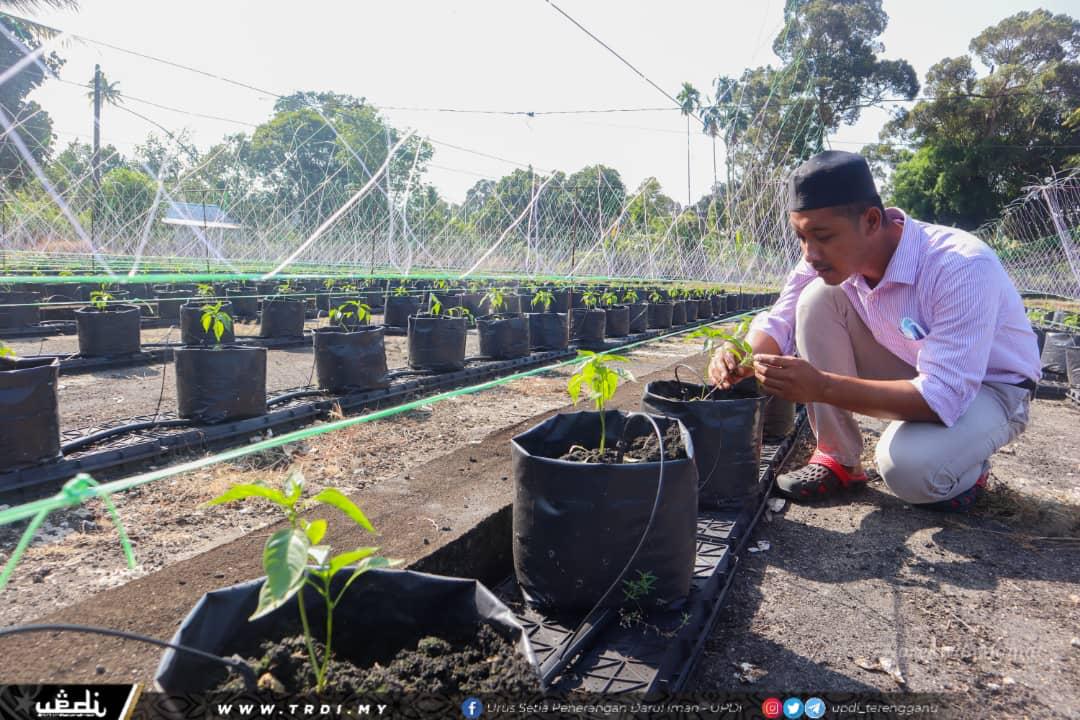 Usahawan Cili Ajak Anak Muda Jadi Petani