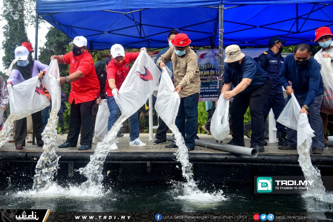 Lebih 900,000 Benih Ikan Dilepaskan Di Tasik Kenyir Tahun Lepas