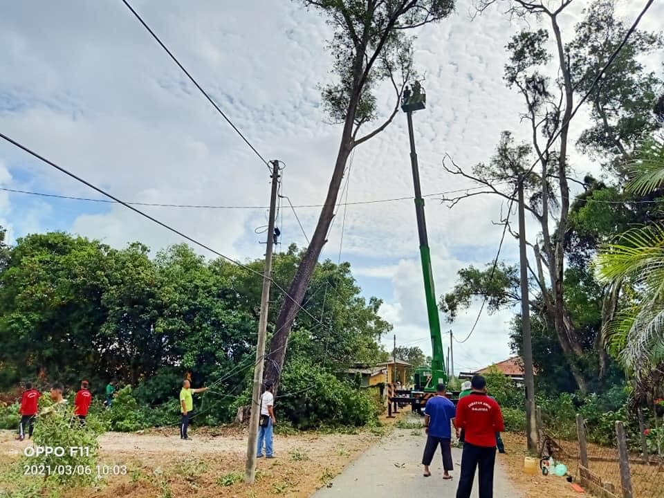 Gotong-royong Tebang Pokok Tinggi Bahayakan Penduduk