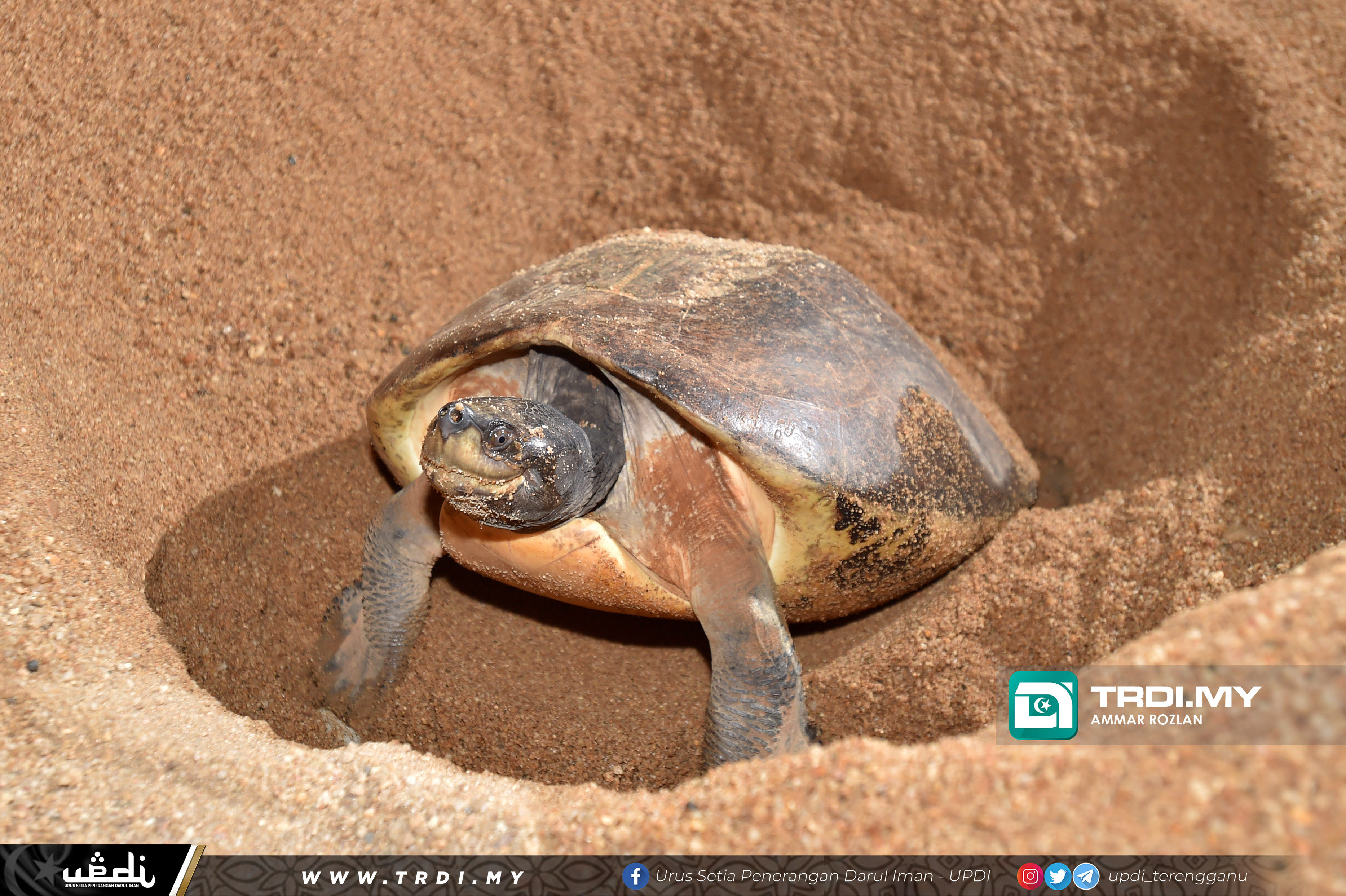 Pendaratan Tuntung di Kampung Temir