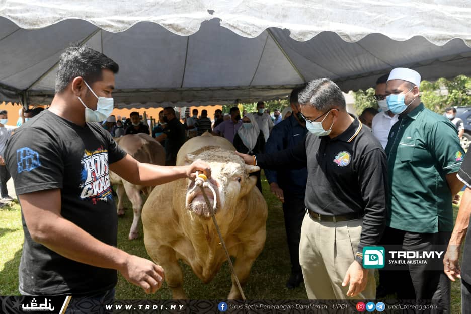 Projek Lembu Sado Beri Pulangan Lumayan