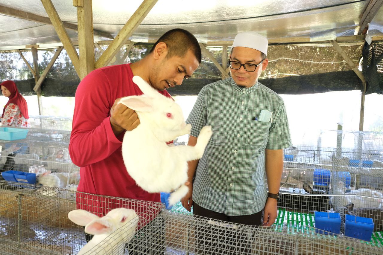 Tepuh Luaskan Penternakan Arnab Pedaging