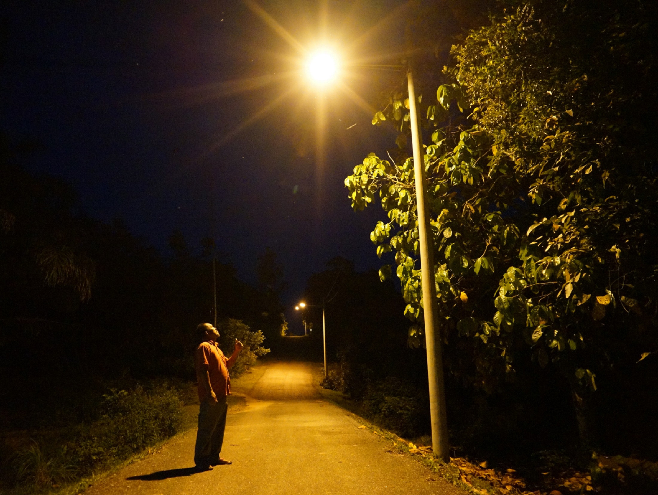 Permohonan 20 Tahun Kini Lulus