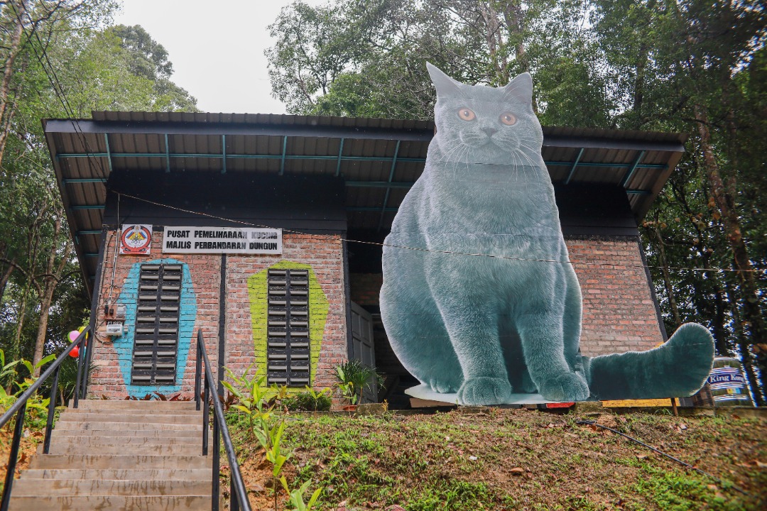 Taman Kucing Destinasi Pelancongan Baharu