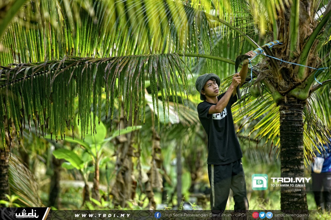 Tak Mahu Buang Masa Budak SPM Jadi Penyadap Tuak