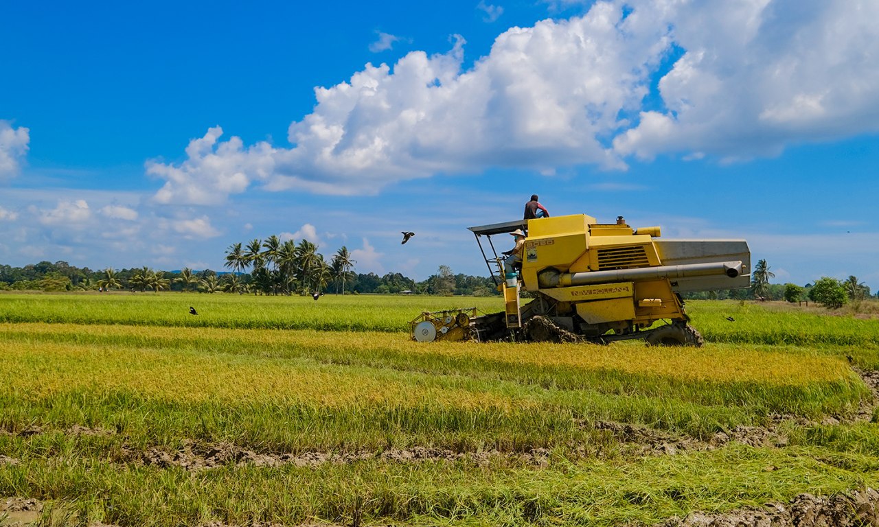 PKP : Kebenaran Pergerakan Boleh Dimohon Dengan Surat Jabatan Pertanian Berkaitan