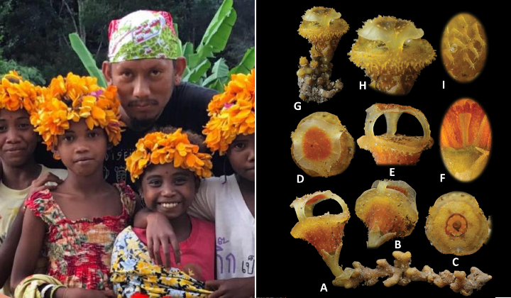 Pengkaji Oxford Namakan Bunga Unik Sempena Ibu Jurufoto Terengganu