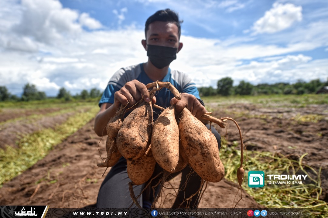 Minat Dorong Iqmal Haikal Jadi Petani Muda