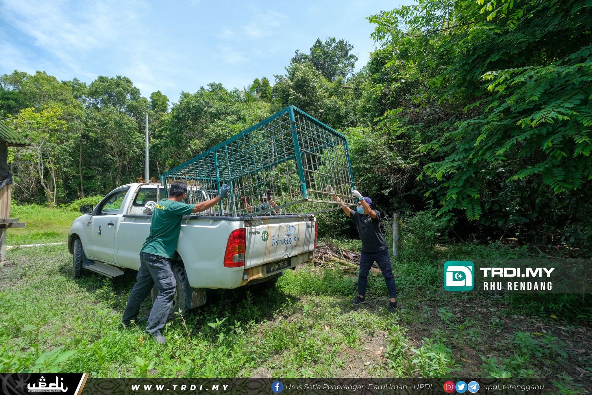 Perhilitan Pasang Perangkap Khinzir Elak Makan Ayam