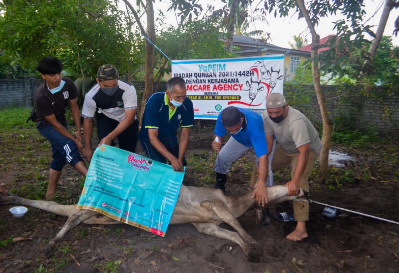 YaPEIM Sumbang 40 Lembu