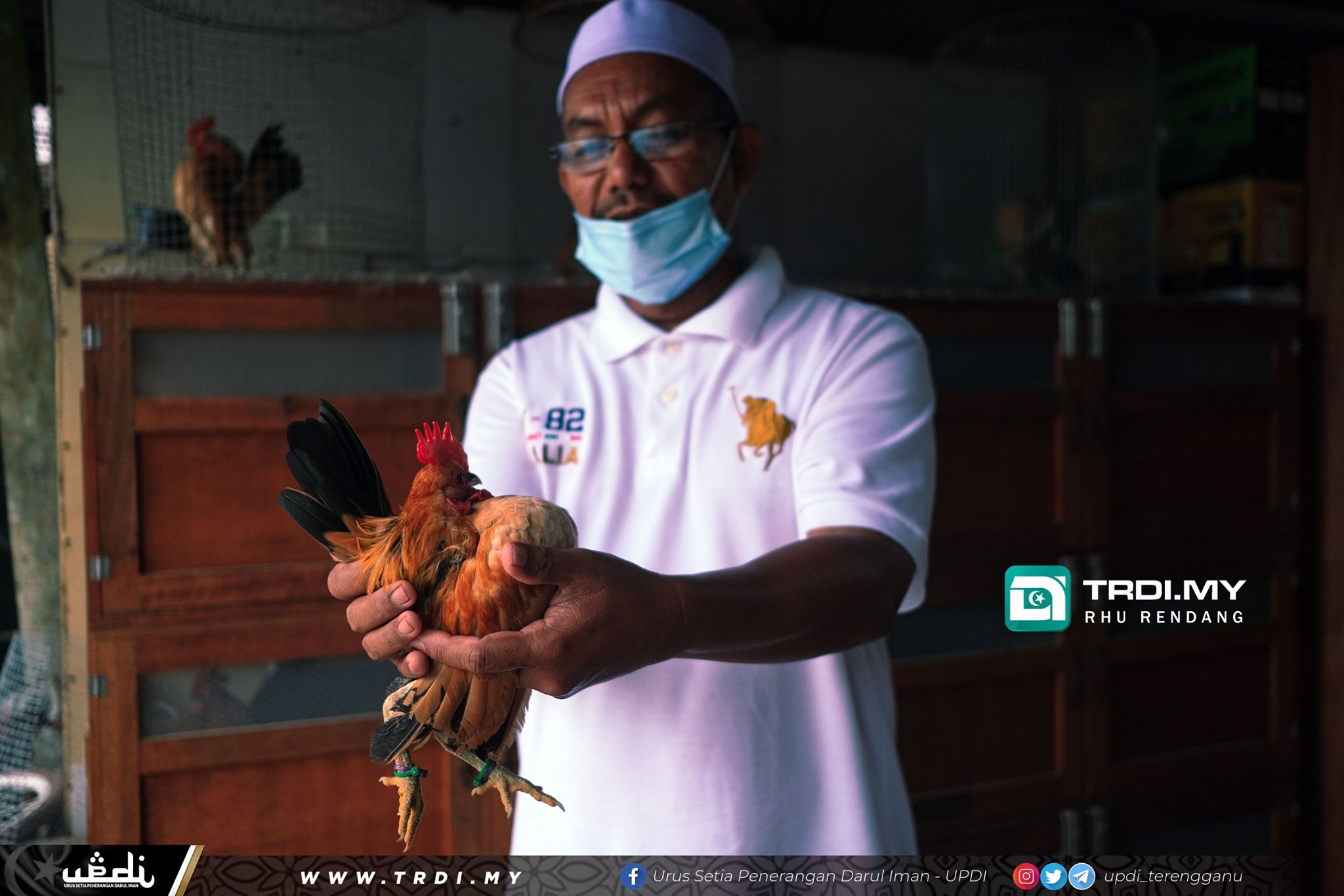 Baka Baik Ayam Serama, Jana Pendapatan Lumayan