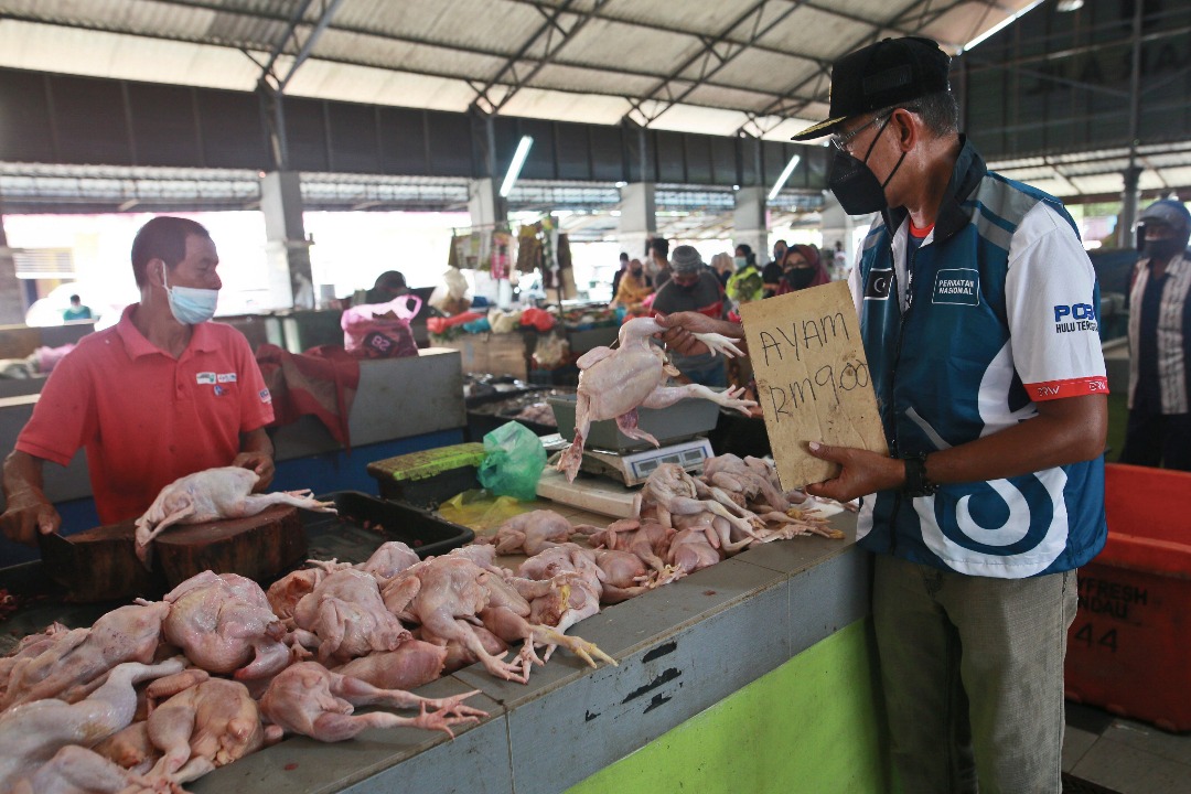 Kerajaan Timbang Salurkan Subsidi Kepada Pengeluar Ayam Utama