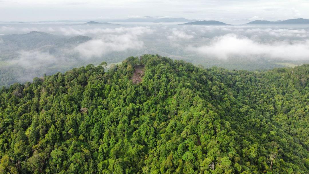 Bukit Tok Salai Sungai Nerus, Destinasi Terbaharu Penggemar 'Hiking'