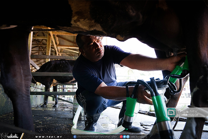 Terengganu Sasar Jadi Pengeluar Utama Susu Segar