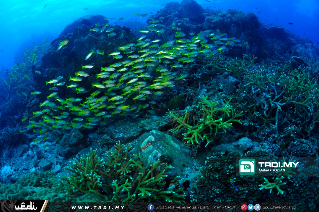 Kenali Tenggol, Mutiara Tersembunyi Di Terengganu
