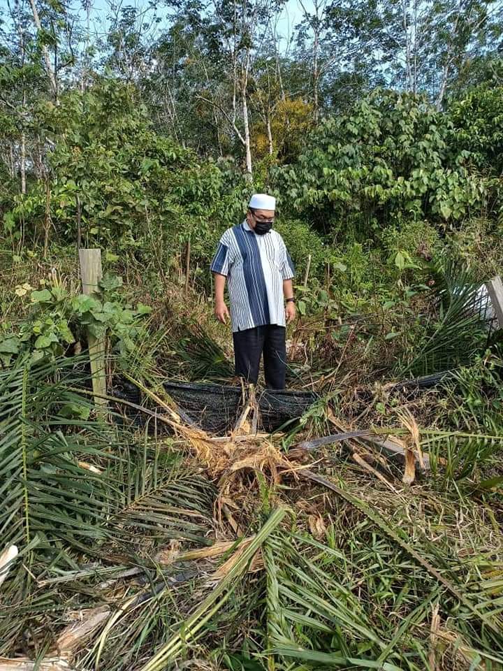 Kerajaan Ambil Langkah Tangani Isu Haiwan Liar