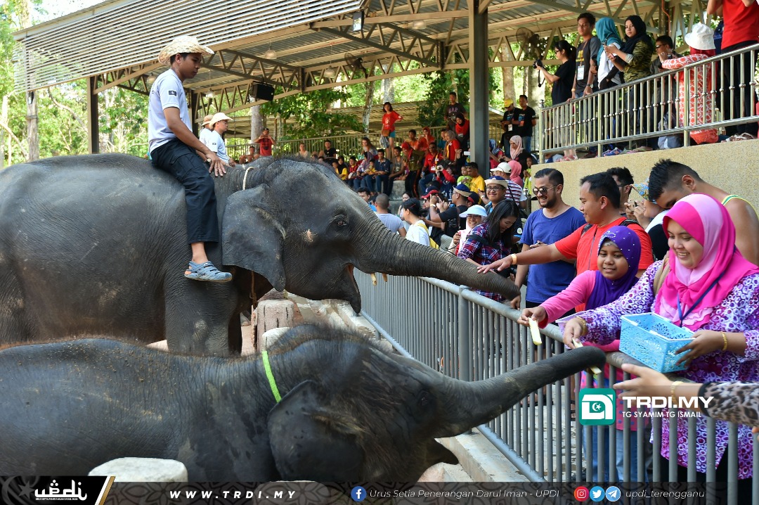 Perkampungan Konservasi Gajah Kenyir Tawar Potongan Tiket  20 Peratus