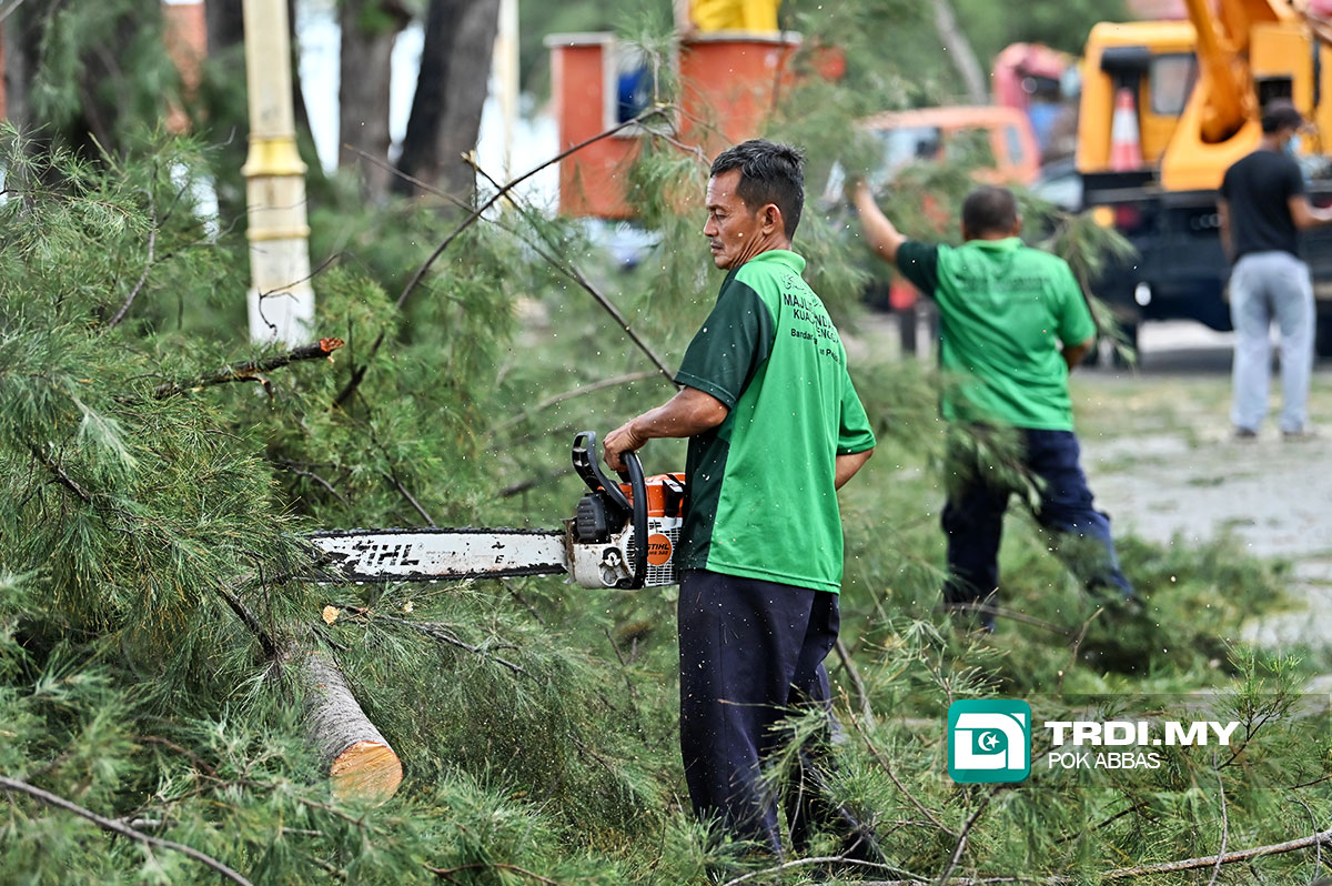 Ambil Tindakan Segera Elak Insiden Pokok Tumbang Berulang