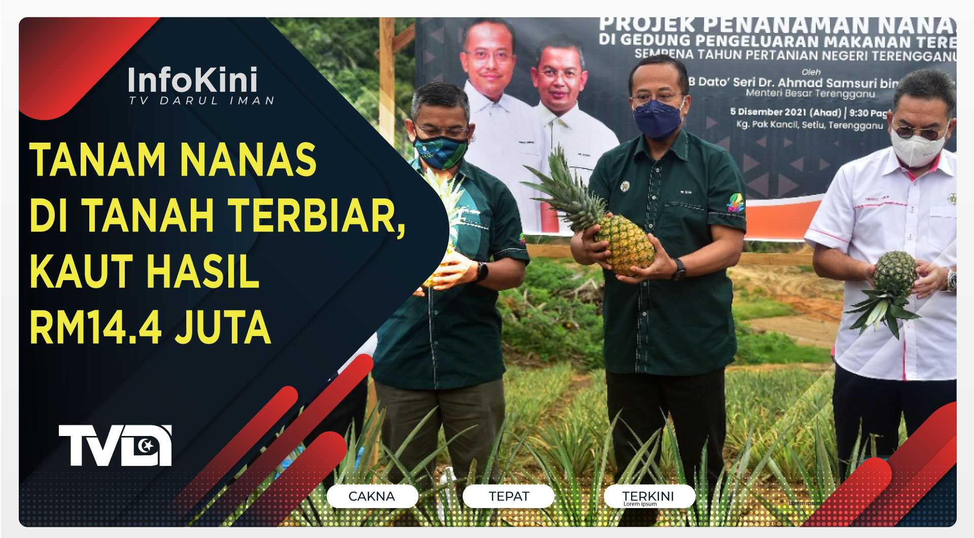 Tanam Nanas Di Tanah Terbiar, Kaut Hasil RM14.4 Juta