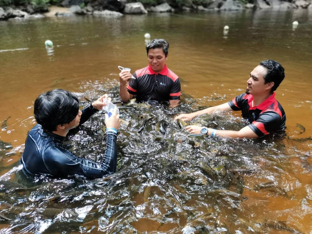 Santuari Kelah Kenyir Menang 'Best Eco Tourism Initiative' 2021