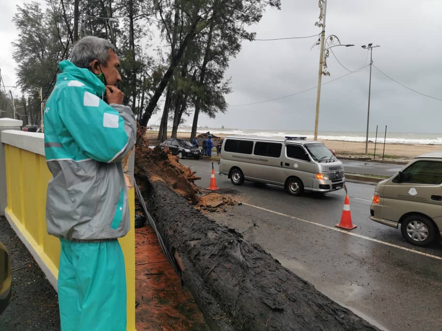 Pokok Tumbang, Tindakan Awal Telah Diambil