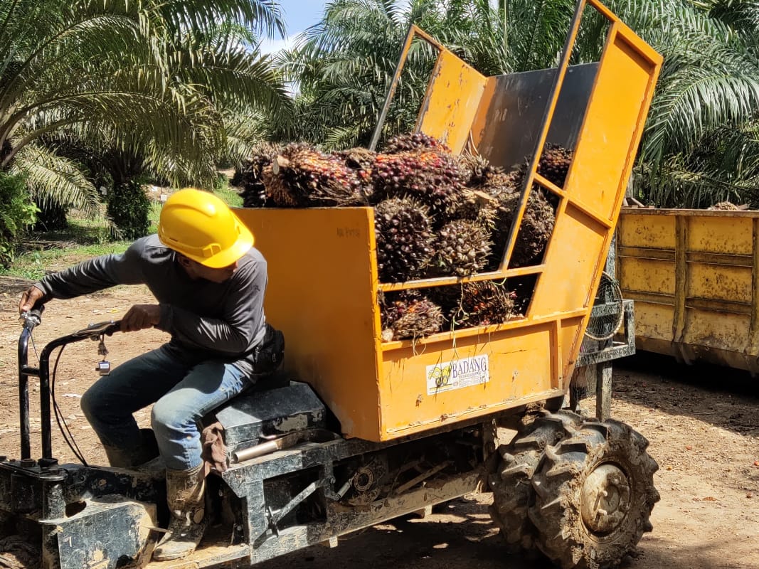 TDM Tawar 800 Peluang Pekerjaan Kepada Warga Tempatan