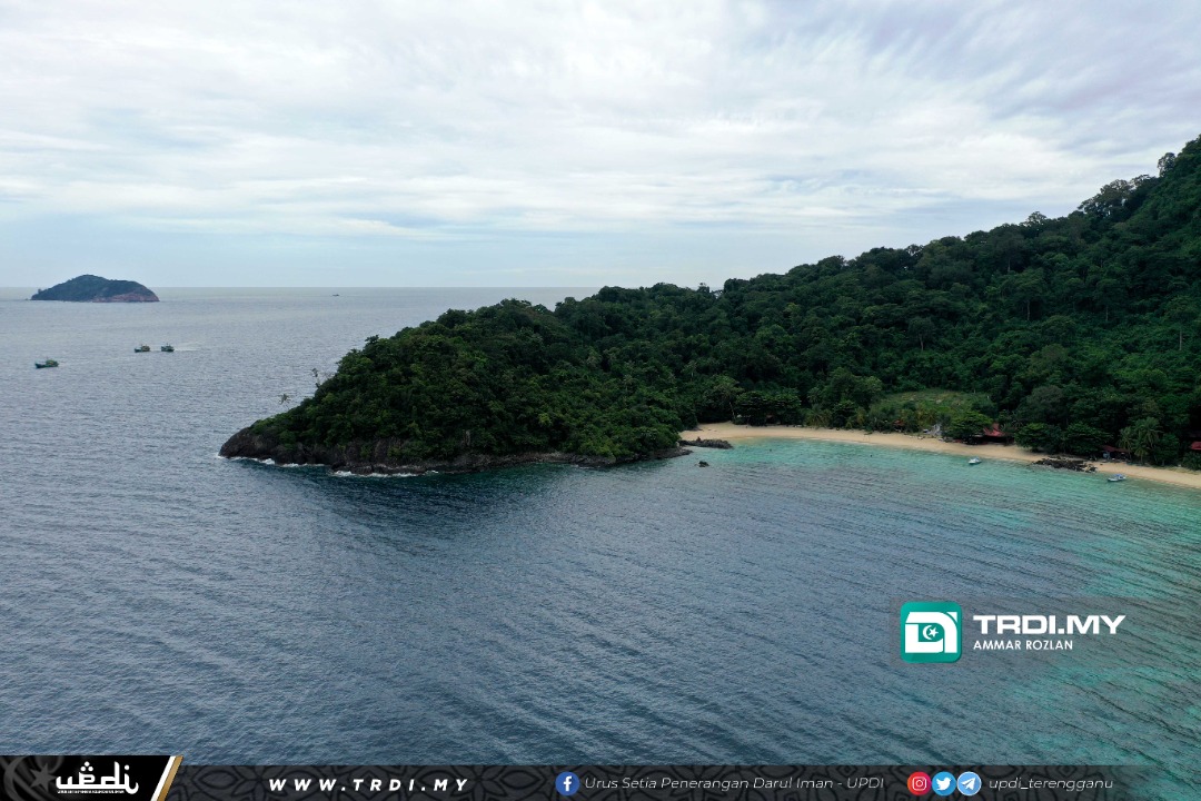 Hampir Separuh Keluasan Terengganu Adalah Hutan Simpan