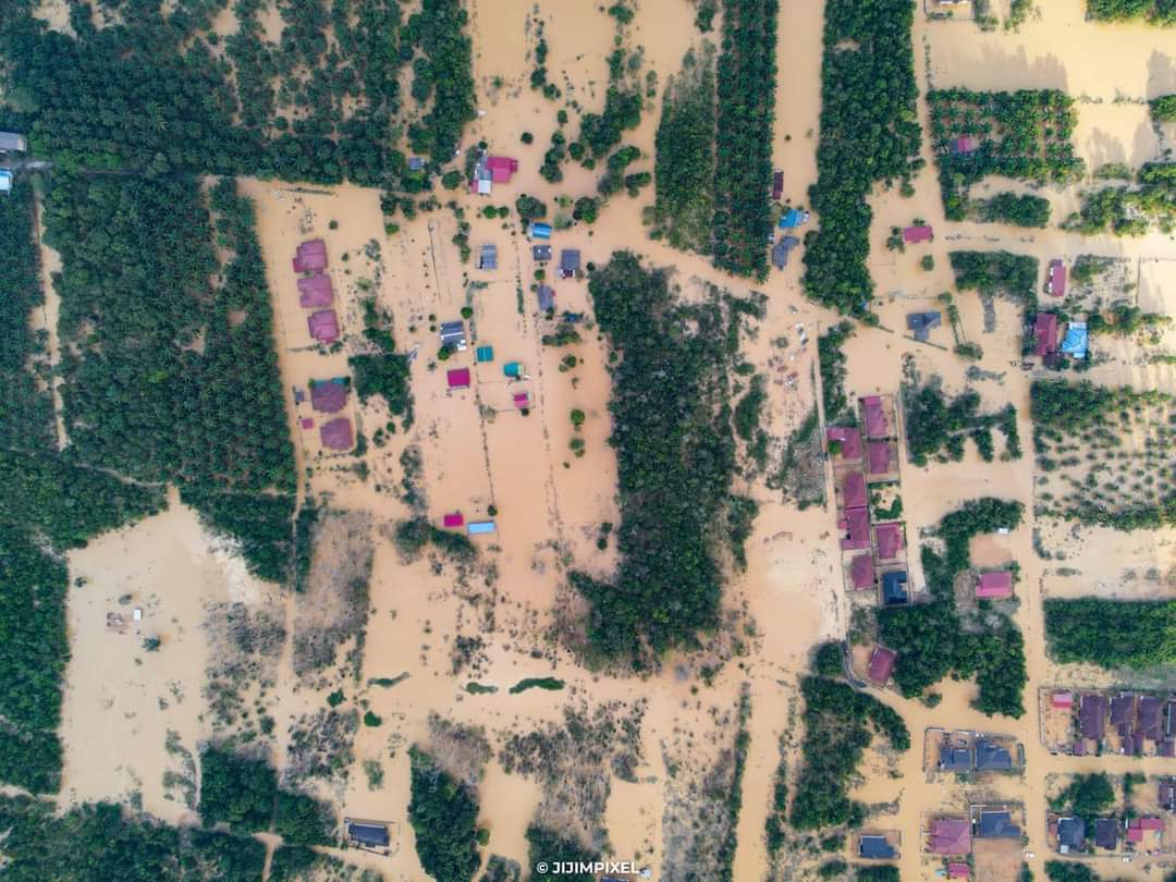 Penternak Rugi Ratusan Ribu Ternakan Mati Akibat Banjir