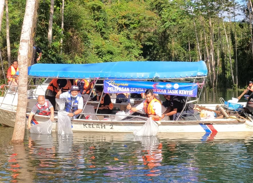 Spesies Temoleh Dan Kelisa Dilarang Tangkap Di Tasik Kenyir