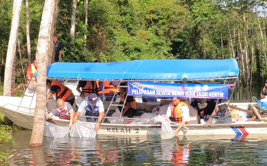 157,000 Benih Ikan Dilepaskan Di Tasik Kenyir