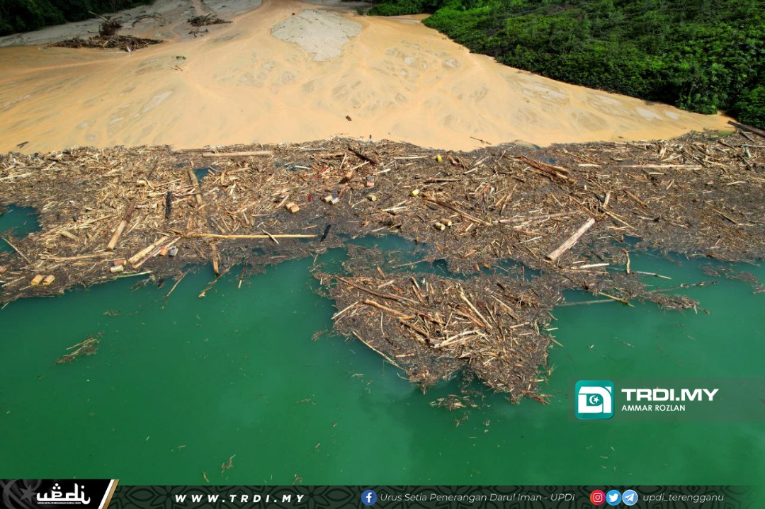 Jabatan Perhutanan Digesa Alih Segera Kayu Hanyut di Tasik Kenyir