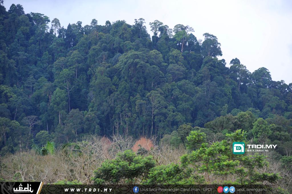 Jalan Baru Bakal Dibina Di Laluan Durian Telor, Besut