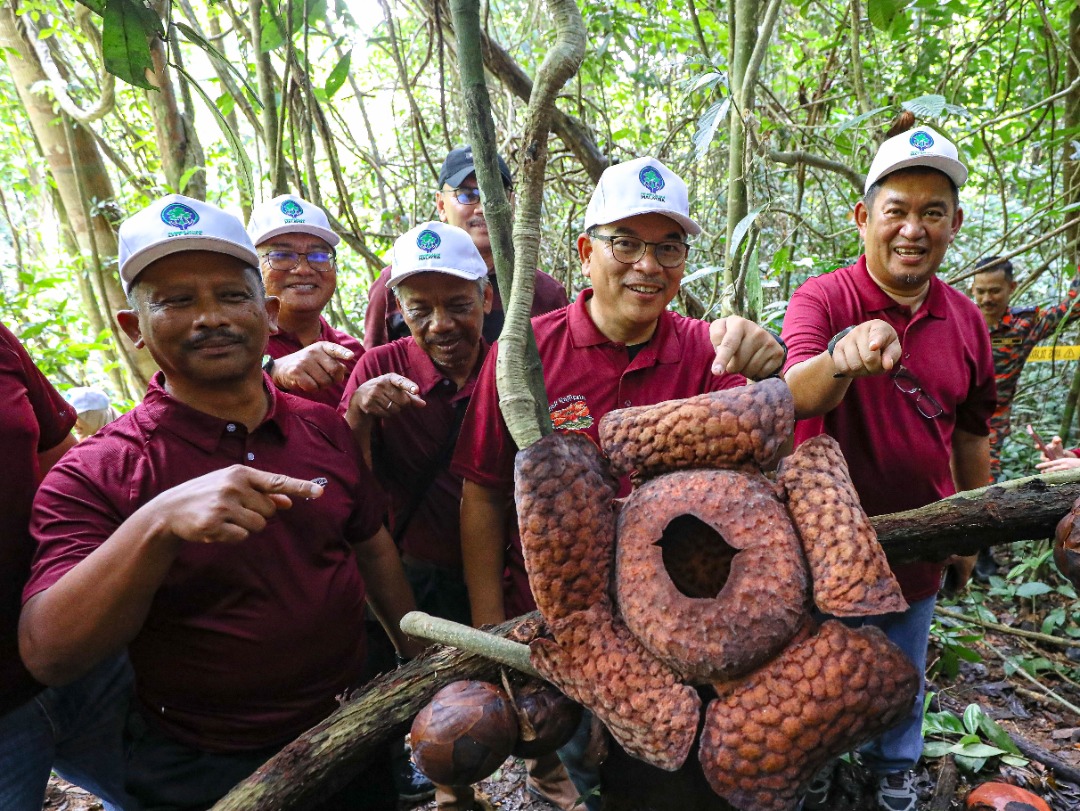 Terengganu Sambut Baik Saranan Wartakan Habitat Bunga Pakma