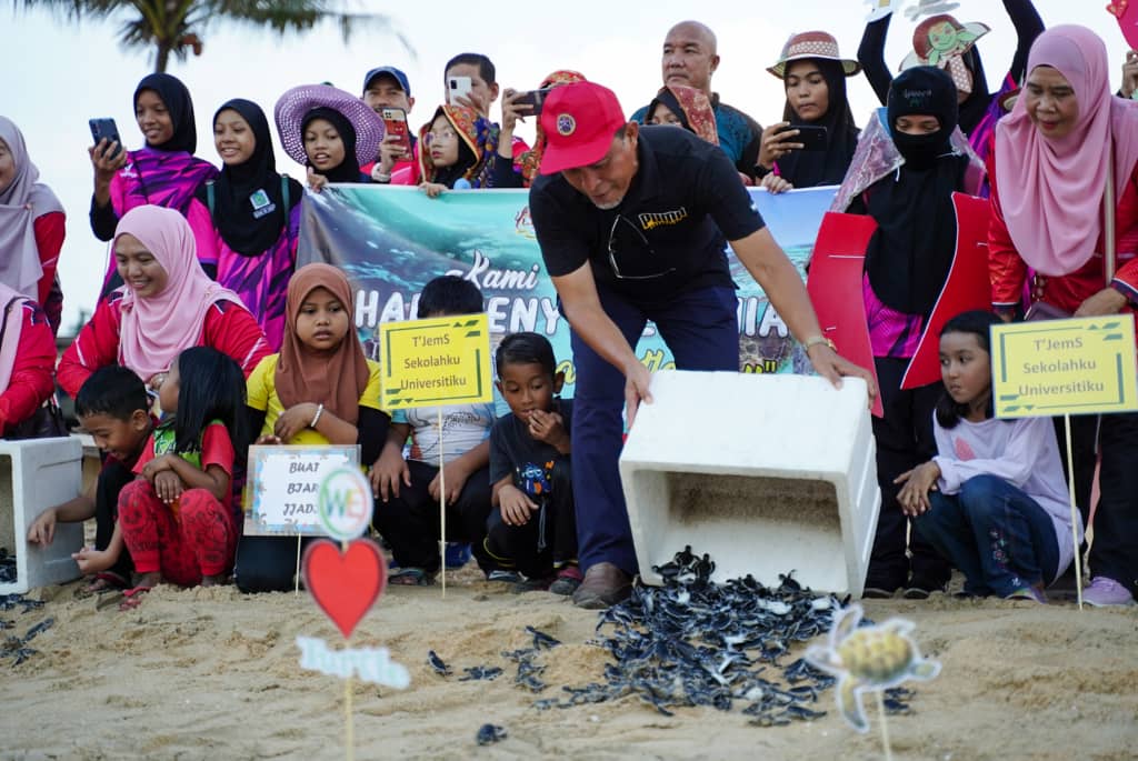 Tabung Untuk Penyu Berjaya Kumpul RM20 Ribu