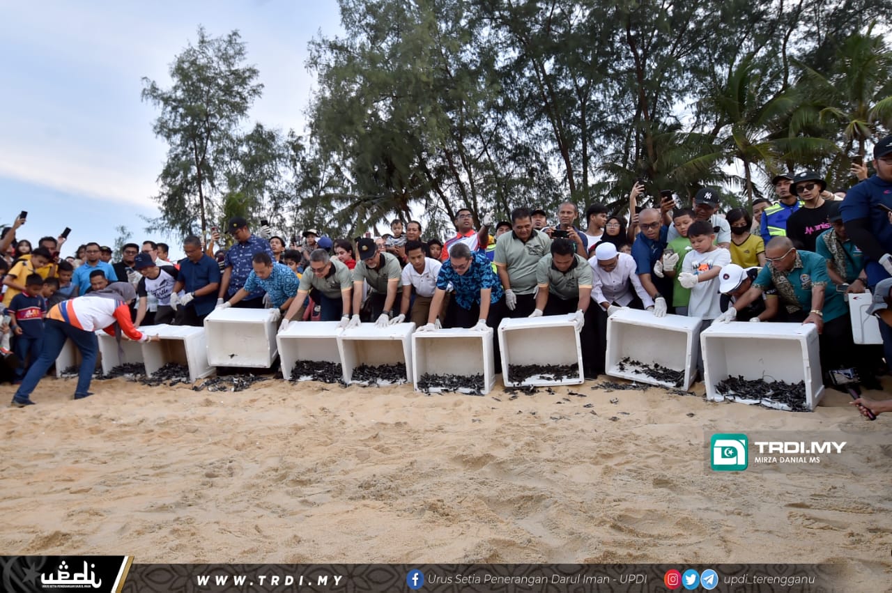 Hari Penyu Sedunia : Tabung Amanah Penyu Berjaya Kumpul RM53,057