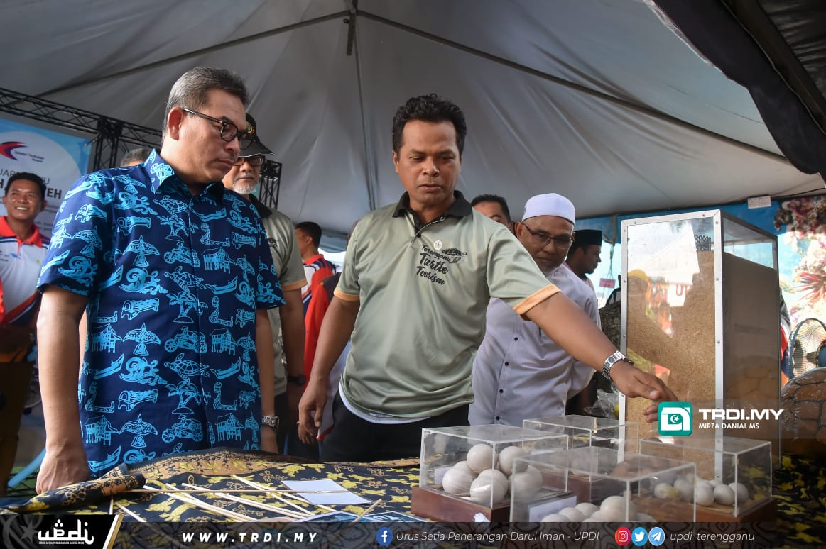 Larangan Jual Telur Penyu Tidak Jejas Pendapatan Pemajak