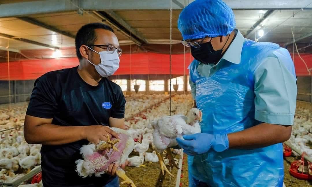 Kerajaan Perlu Perincikan Mekanisma Kawalan Harga