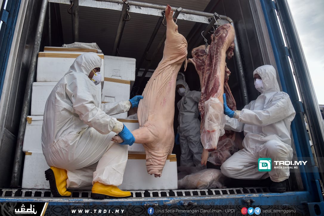 JPV Rampas 9,120 Kilogram Karkas Babi