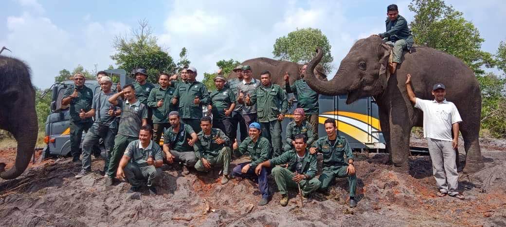 ‘Abang Besar’ Sesat Berjaya Dipindahkan