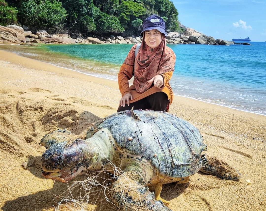 "Jangan Guna Pukat Pari, Elak Penyu Mati"