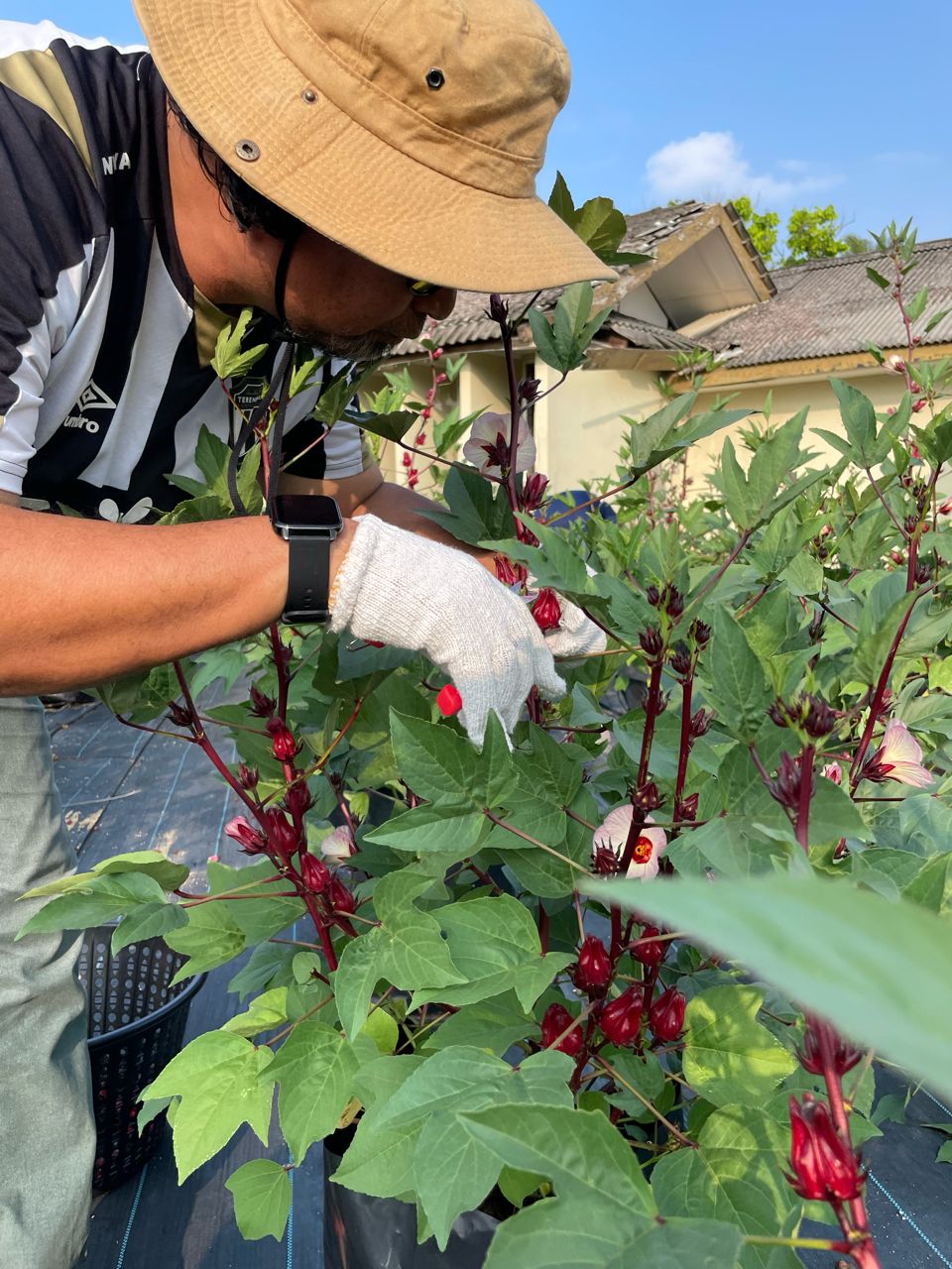 Projek Roselprenuer Bantu Tingkat Taraf Hidup OKU Pekak