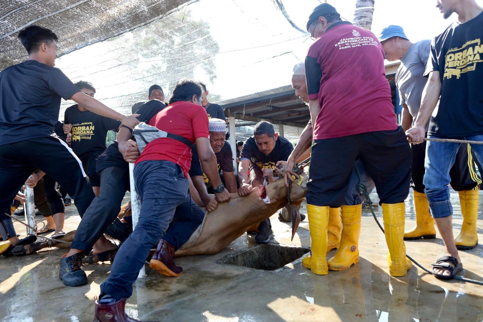 1,500 Pek Daging Korban Diagih Kepada B40